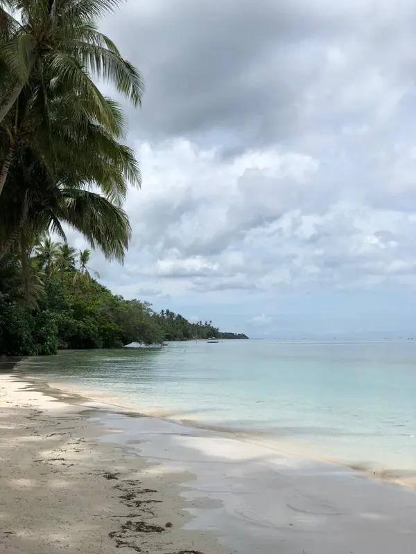 Plage de sable blanc avec mer turquoise et végétation luxuriante sous ciel nuageux
