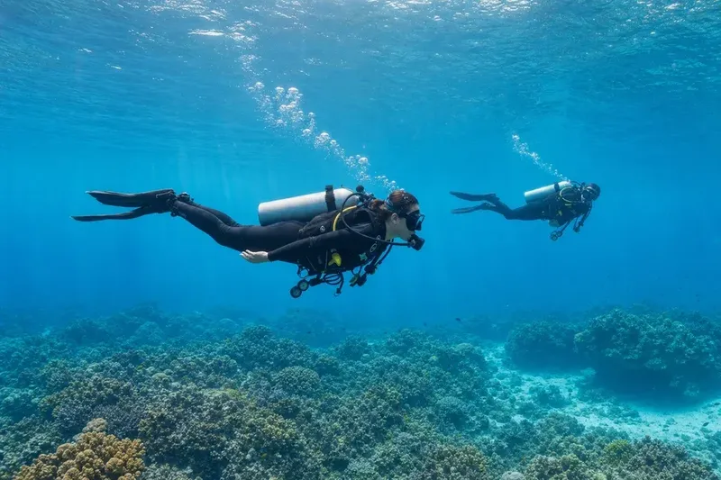 Deux plongeurs explorent un récifal corallien en eau bleue claire