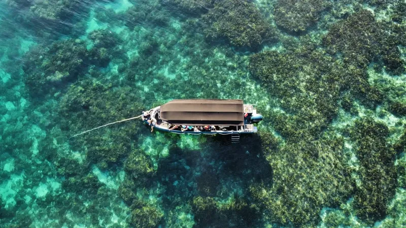 Vue aérienne d'un bateau de plongée au-dessus d'un récif corallien turquoise
