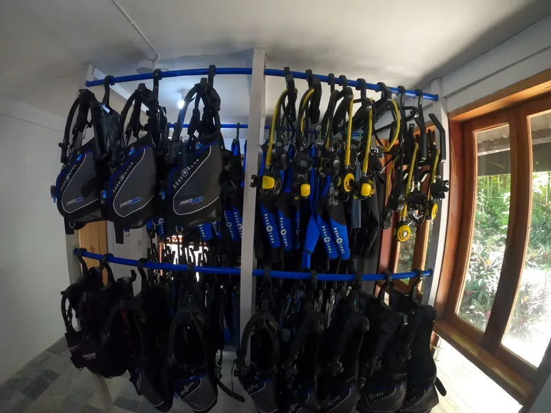 Rangées d'équipements de plongée suspendus dans un local intérieur clair