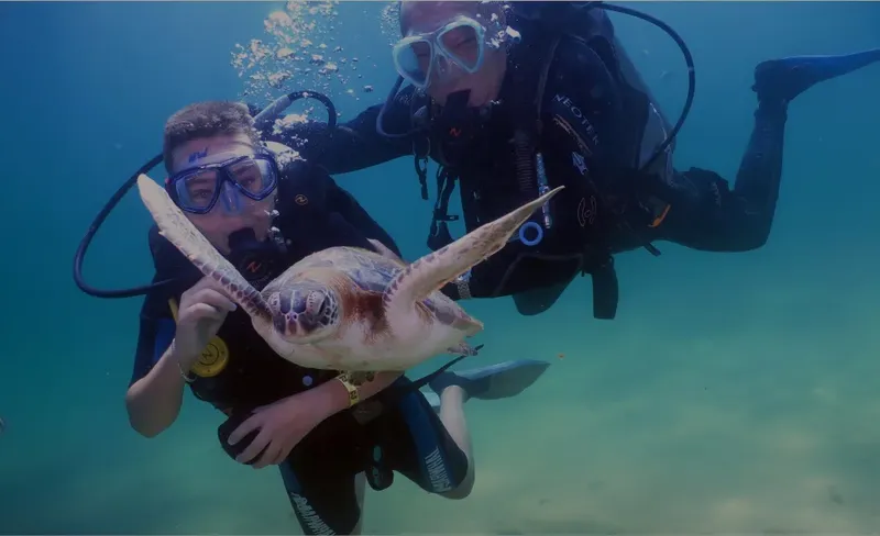 Deux plongeurs interagissent avec une tortue marine en pleine eau