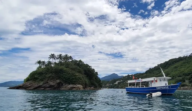 Bateau de plongée bleu amarré devant une île verdoyante et rocheuse