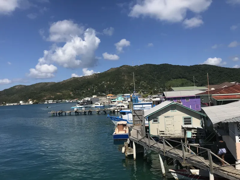 Vue d'un port de plaisance avec des bateaux et des bâtiments colorés