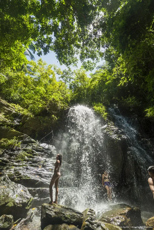 Personnes se baignant sous une cascade dans une végétation luxuriante