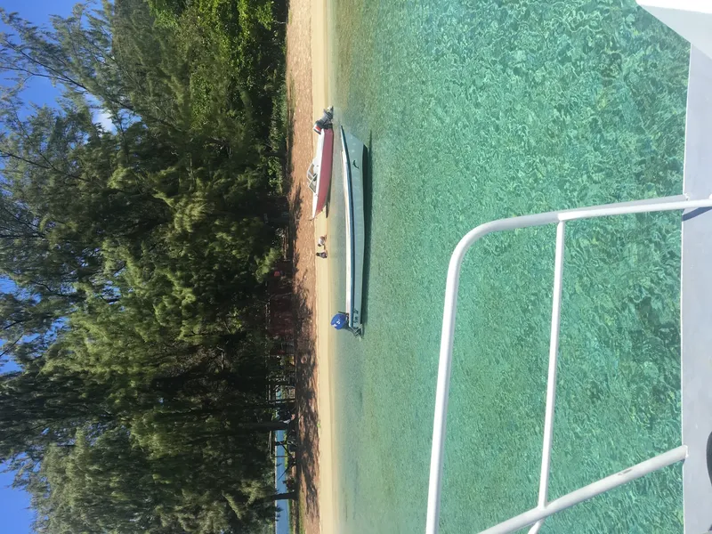 Deux bateaux amarrés dans une eau turquoise claire près d'arbres