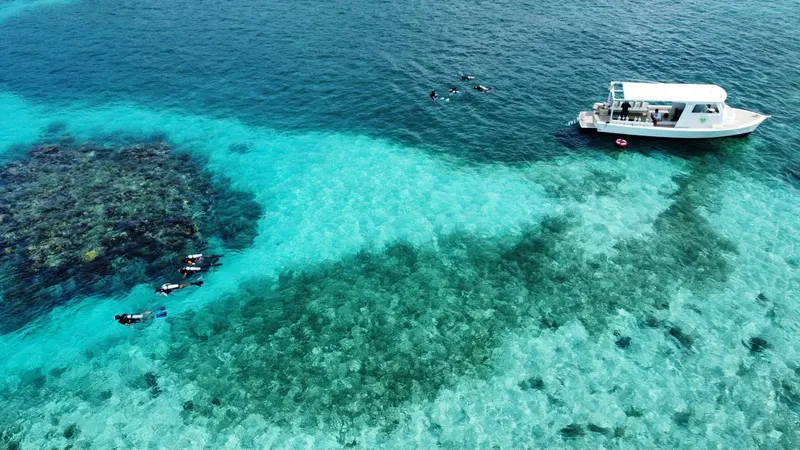Plongeurs explorent un récif corallien turquoise avec un bateau en arrière-plan