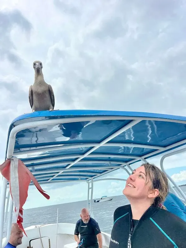 Femme souriante regardant un oiseau posé sur le toit d'un bateau