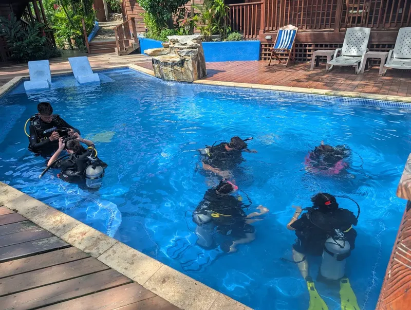 Plongeurs en formation dans une piscine, équipement complet, lumière naturelle