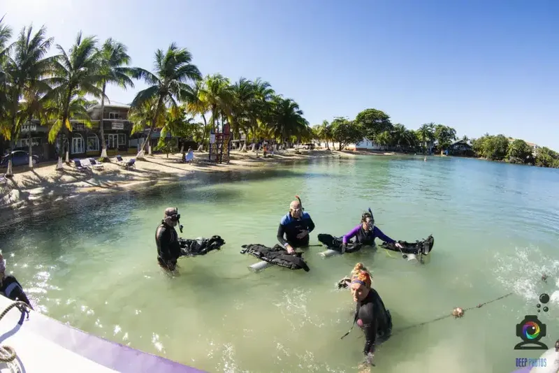 Plongée : des personnes équipées sortent de l'eau sur une plage