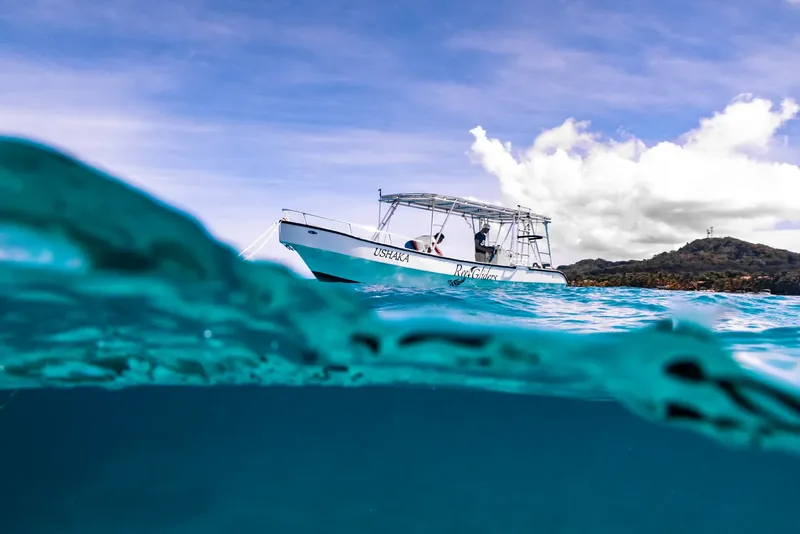 Bateau de plongée blanc avec des passagers, vue à moitié immergée