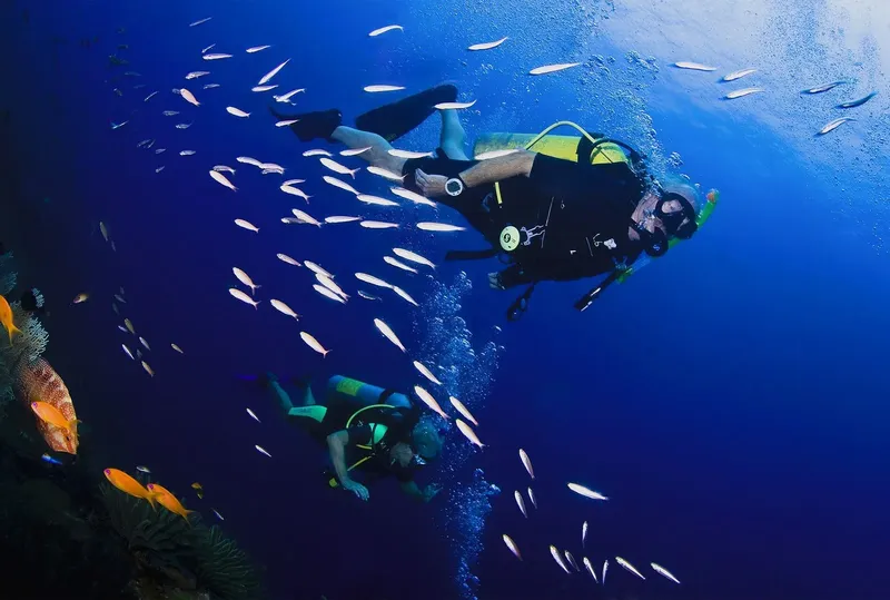 Deux plongeurs explorent un récif corallien entourés de poissons