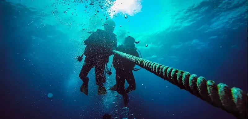 Deux plongeurs remontent le long d'une corde dans l'eau bleue