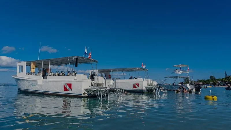 Plusieurs bateaux de plongée amarrés sur une eau turquoise et calme