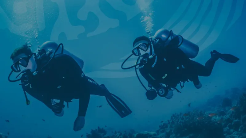 Deux plongeurs explorent un récifal corallien en apnée dans l'eau bleue