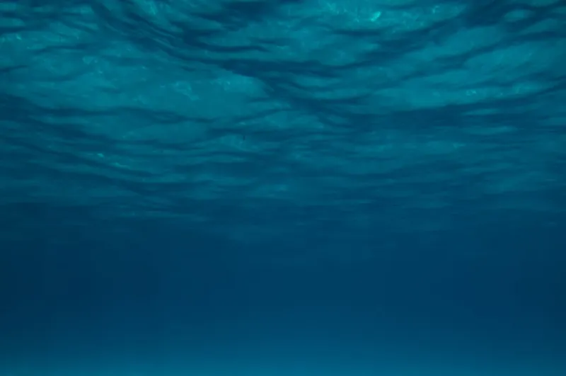 Vue sous-marine avec des ondulations de lumière et un fond bleu
