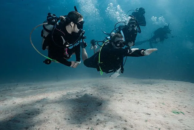 Plongeurs en combinaison explorent les fonds marins sablonneux en toute sécurité