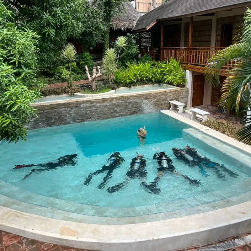 Plongeurs en formation dans une piscine, végétation luxuriante en arrière-plan