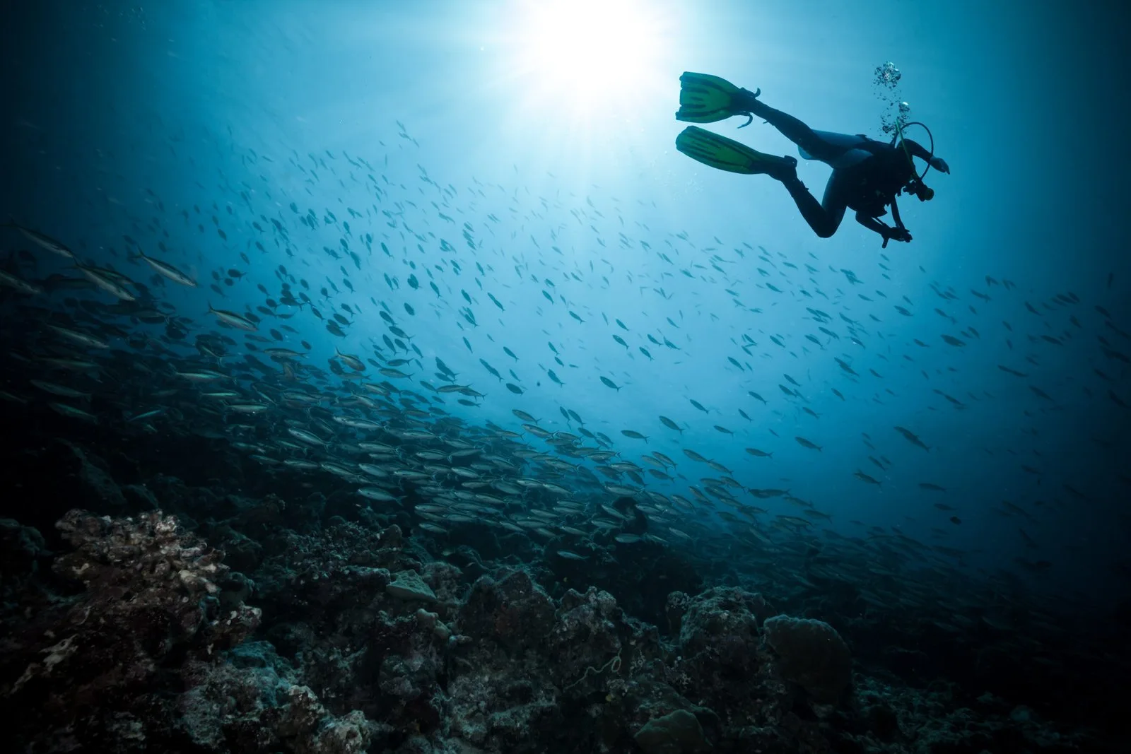 Scuba Coiba