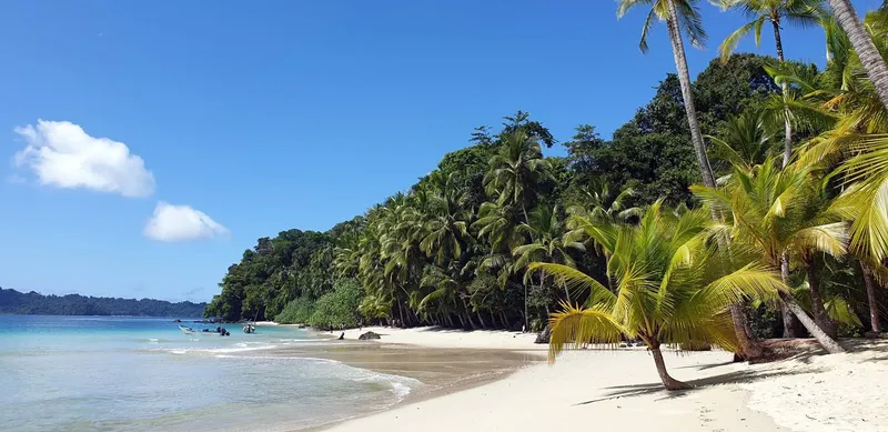 Plage de sable blanc avec végétation luxuriante et bateaux en mer