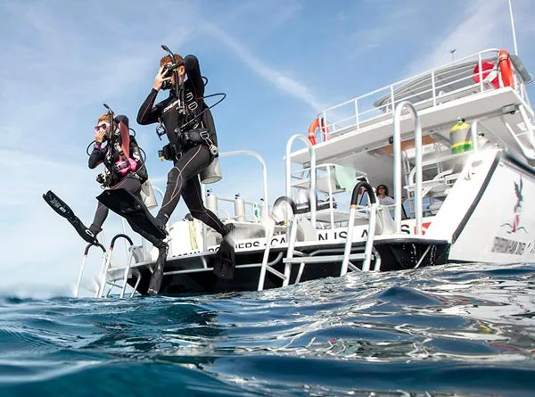 Plongeurs sautent d'un bateau de plongée en pleine mer, équipement complet