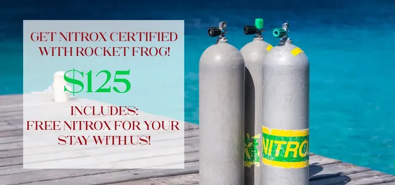 Bouteilles de plongée et offre de certification Nitrox avec prix