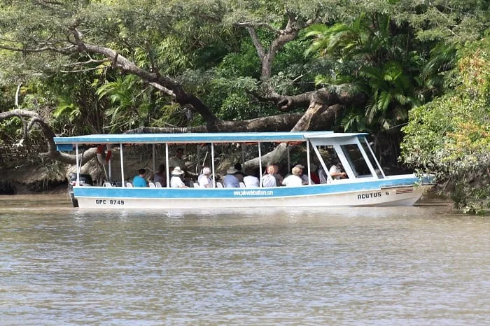 Embarcation transportant des passagers sur une rivière bordée de végétation