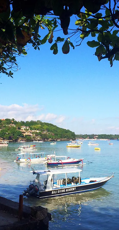 Plusieurs bateaux de plongée amarrés dans une baie ensoleillée
