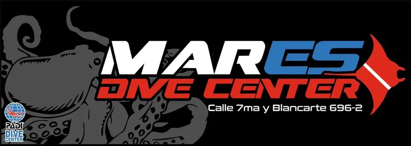Logo d'un centre de plongée avec une pieuvre et un drapeau