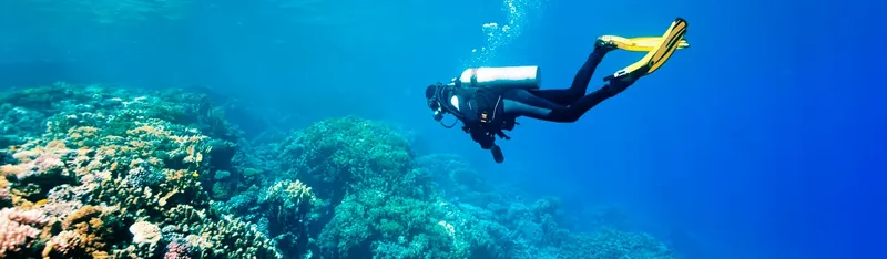 Plongeur en combinaison explore un récifal corallien bleu turquoise