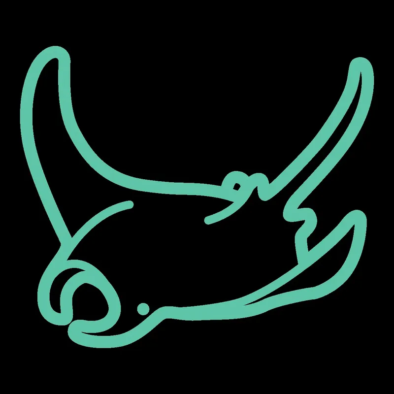 Illustration minimaliste d'une raie manta turquoise sur fond noir