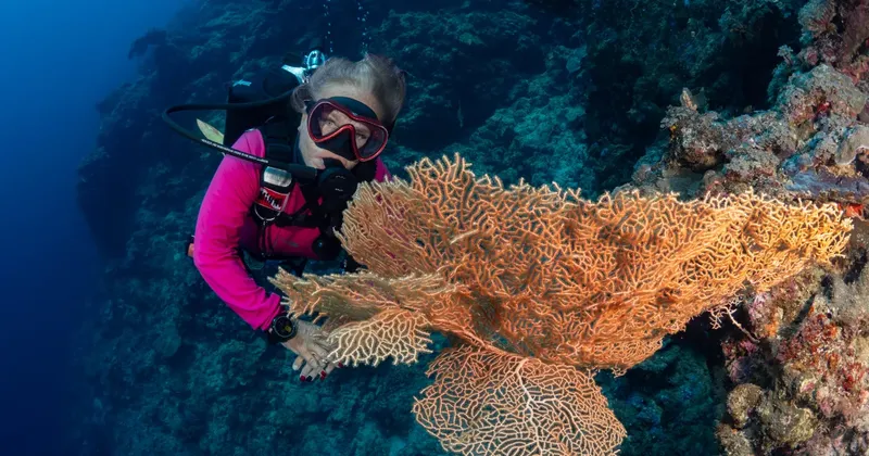 Plongeuse explorant un récif corallien orange en milieu aquatique