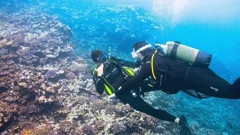 Deux plongeurs explorent un récifal corallien en eau bleue claire