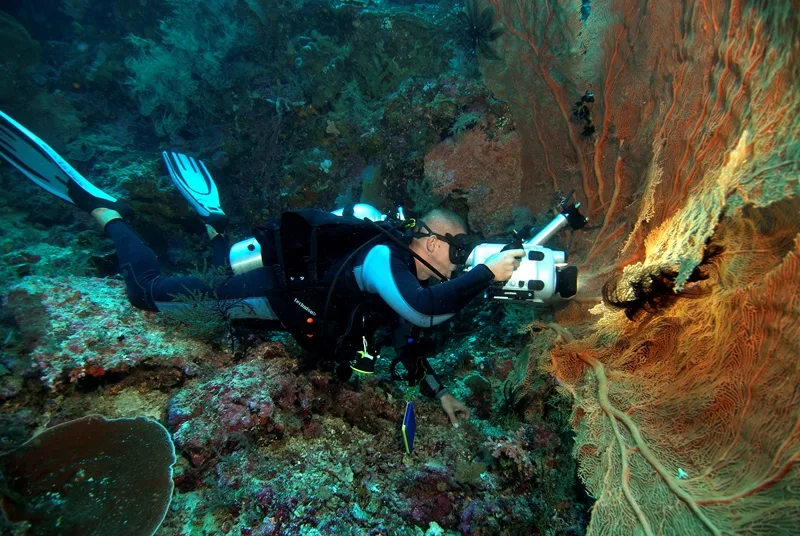 Plongeur photographiant un corail orange dans un récif tropical