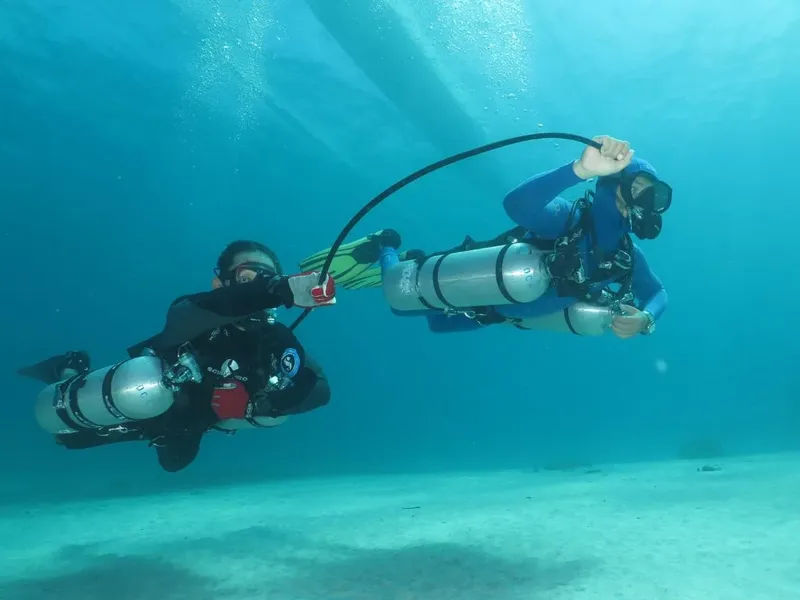 Deux plongeurs en combinaison explorent les fonds marins, visibilité claire
