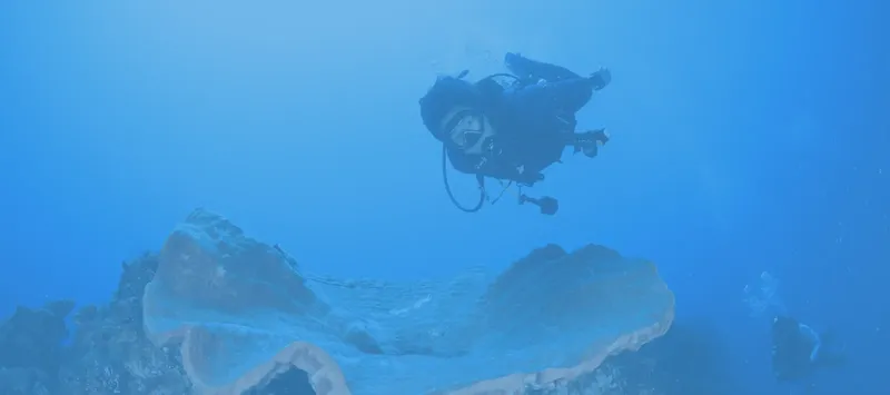 Plongeur explorant un récifal corallien sous l'eau en bleu profond