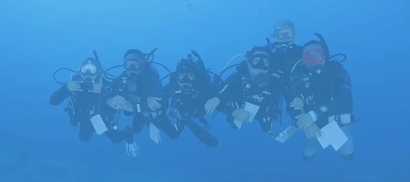Groupe de plongeurs en combinaison, palmes et masques sous l'eau