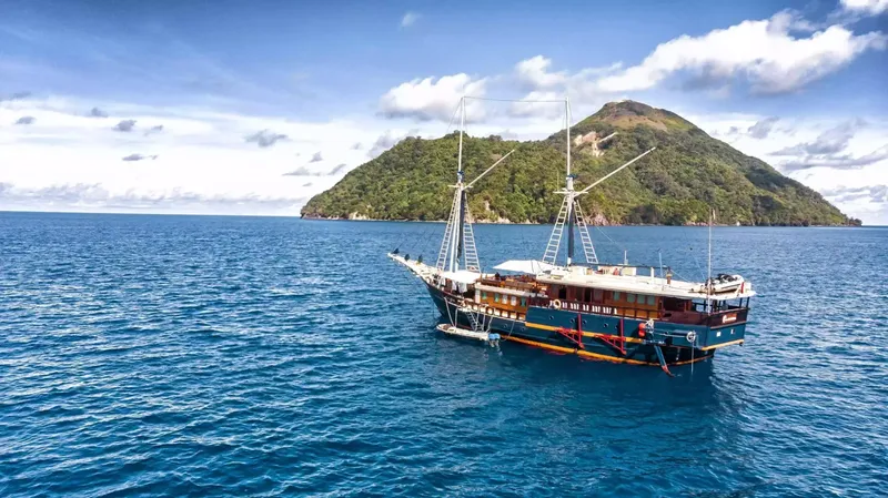 Grand bateau de croisière en mer face à une île verdoyante