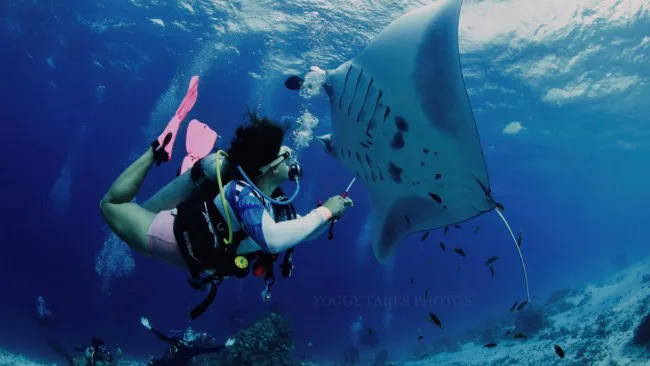 Plongeuse interagissant avec une raie manta dans un environnement marin bleu