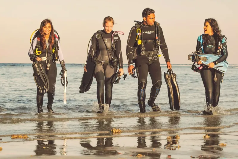 Quatre plongeurs en combinaison sortent de la mer sur une plage
