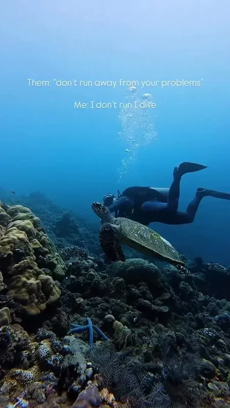 Plongeur nageant au-dessus d'un récifal corallien avec une tortue de mer