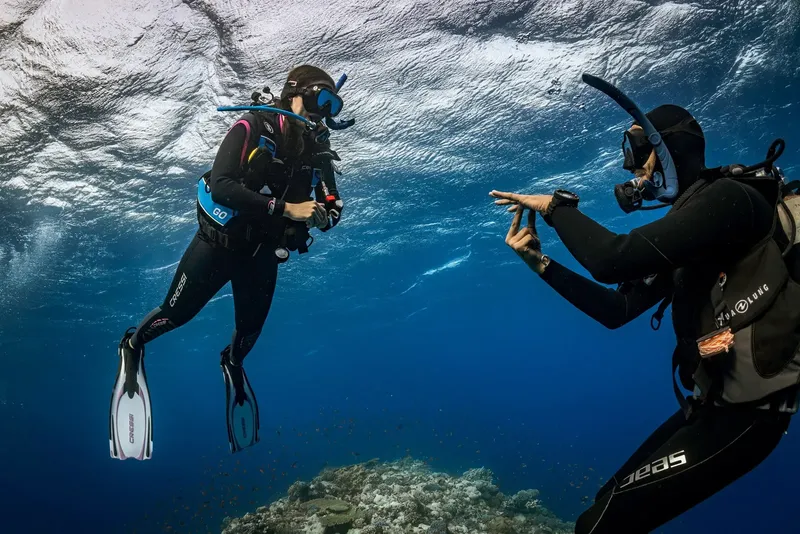 Deux plongeurs communiquent sous l'eau dans un environnement bleu clair