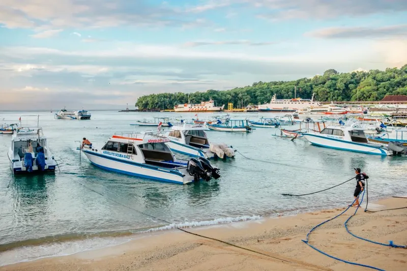 Plusieurs bateaux de plongée amarrés dans une baie ensoleillée avec des personnes