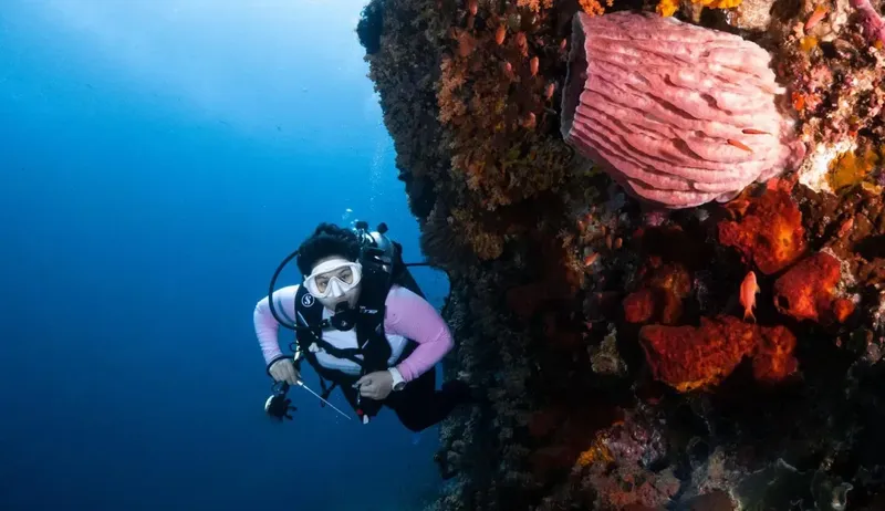 Plongeuse explorant un récif corallien coloré avec une grande coquille