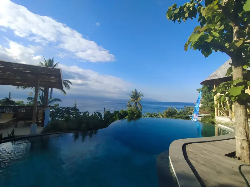Vue d'une piscine à débordement avec mer et végétation tropicale