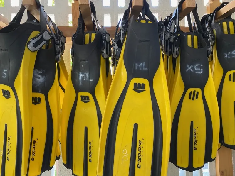 Rangée de palmes de plongée jaunes et noires, tailles variées