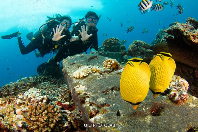 Deux plongeurs souriants interagissent avec des poissons papillons jaunes corail