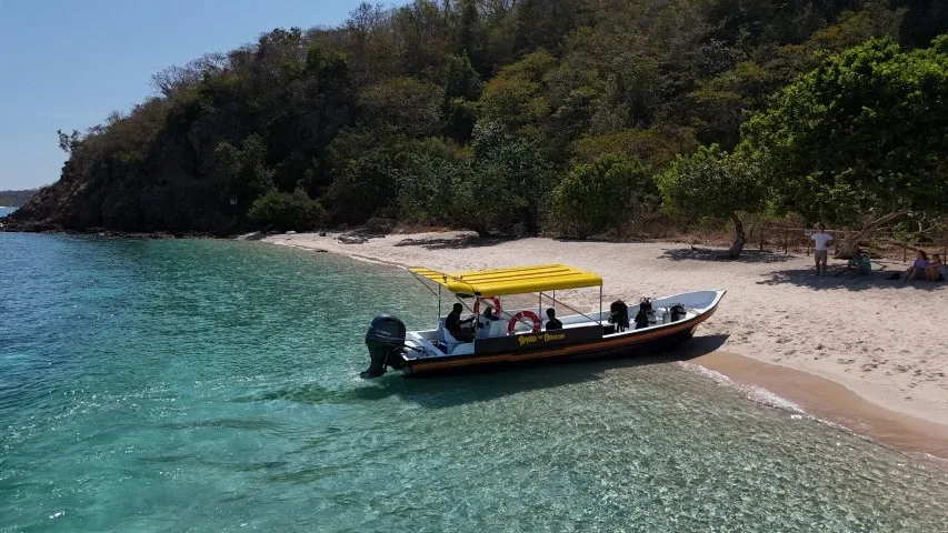 Bateau de plongée jaune et noir accostant sur une plage tropicale