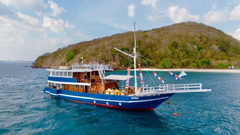 Bateau de plongée bleu et blanc navigue en mer devant une île