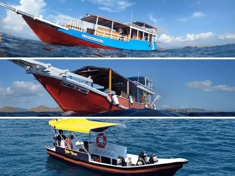 Trois bateaux de plongée colorés flottent sur une mer bleue calme