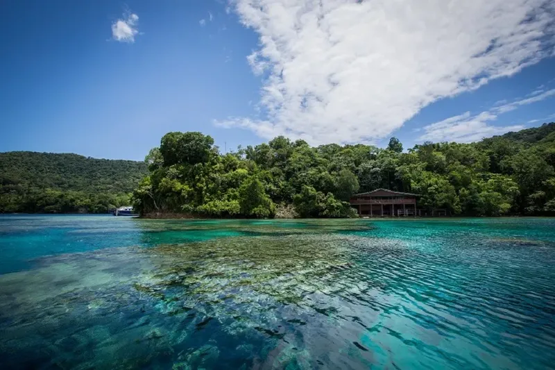 Vue d'une crique turquoise avec végétation luxuriante et bâtiments côtiers